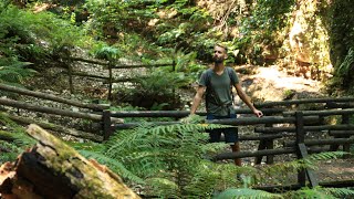 Gargano Ep. 06 - Foresta Umbra E Gita In Barca