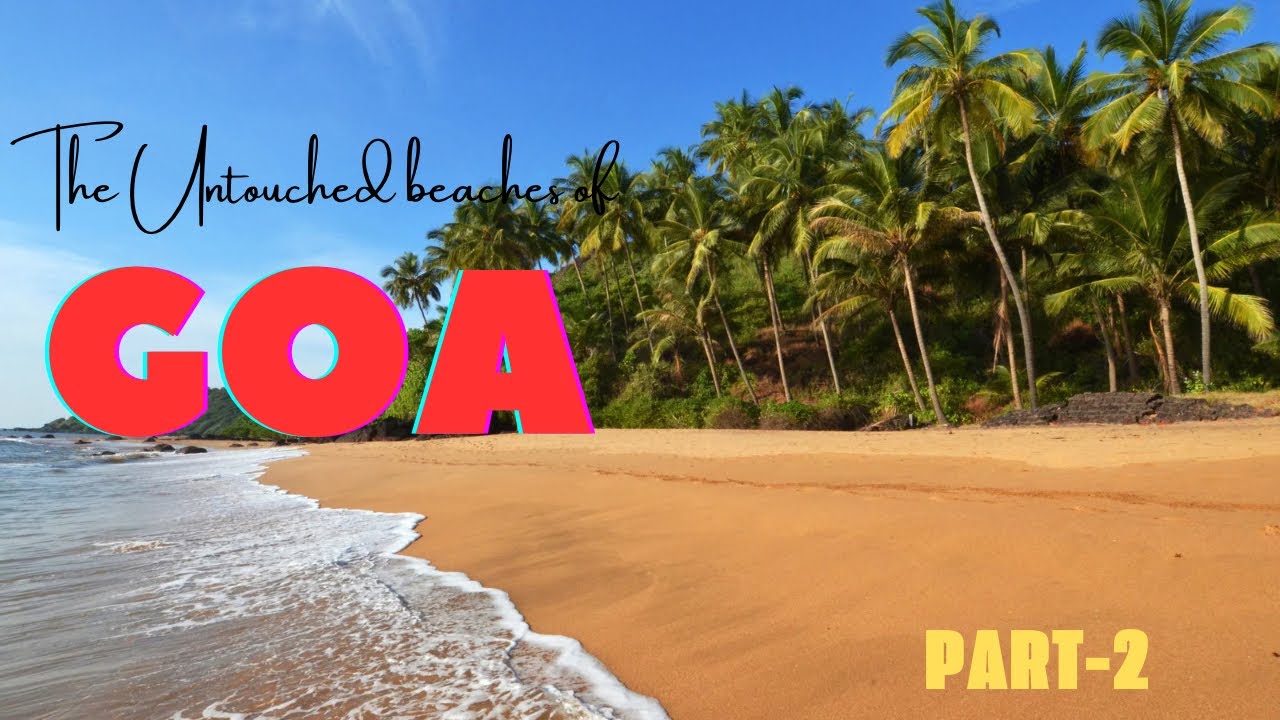 Goa Vlog Part 2 | Candolim Beach to Baga 🏝️ | Fat Fish Restaurant Dinner | Traveler Amit