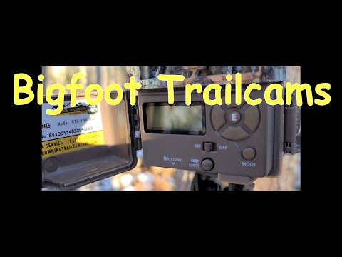 November Bigfoot Trail Cams