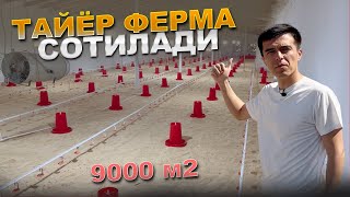 ХИВАДА - БИЗНЕС УЧУН ТАЙЁР ФЕРМА СОТИЛАДИ | ☎️ +998 99 525 27 27