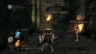 Dark Souls™: Remastered Network Test  Надо Под Ноги Смотреть!