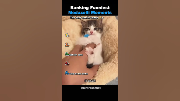 Ranking Funniest Medazelli Moments!🤣#ranking #best #medazelli #tiktok