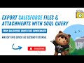 How to Use #soql Query to Export Mass #files & #attachments from #salesforce using #filesdownloader