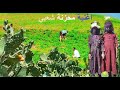 اين النصيب يابة اغاني يمنيه محزنة عتاب الفنانه شيماءلاكن رروعه اين النصيب يابة اغاني يمنيه محزنة عتاب الفنانه شيماءلاكن رروعه