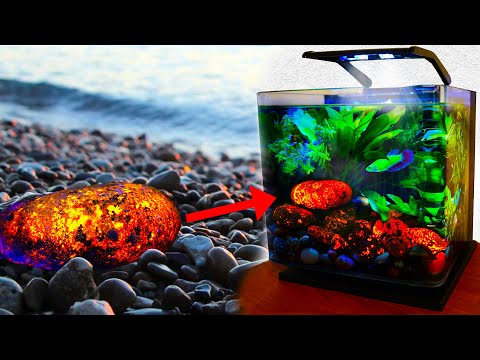 Finding RARE GLOWING ROCKS for Glow Betta tank