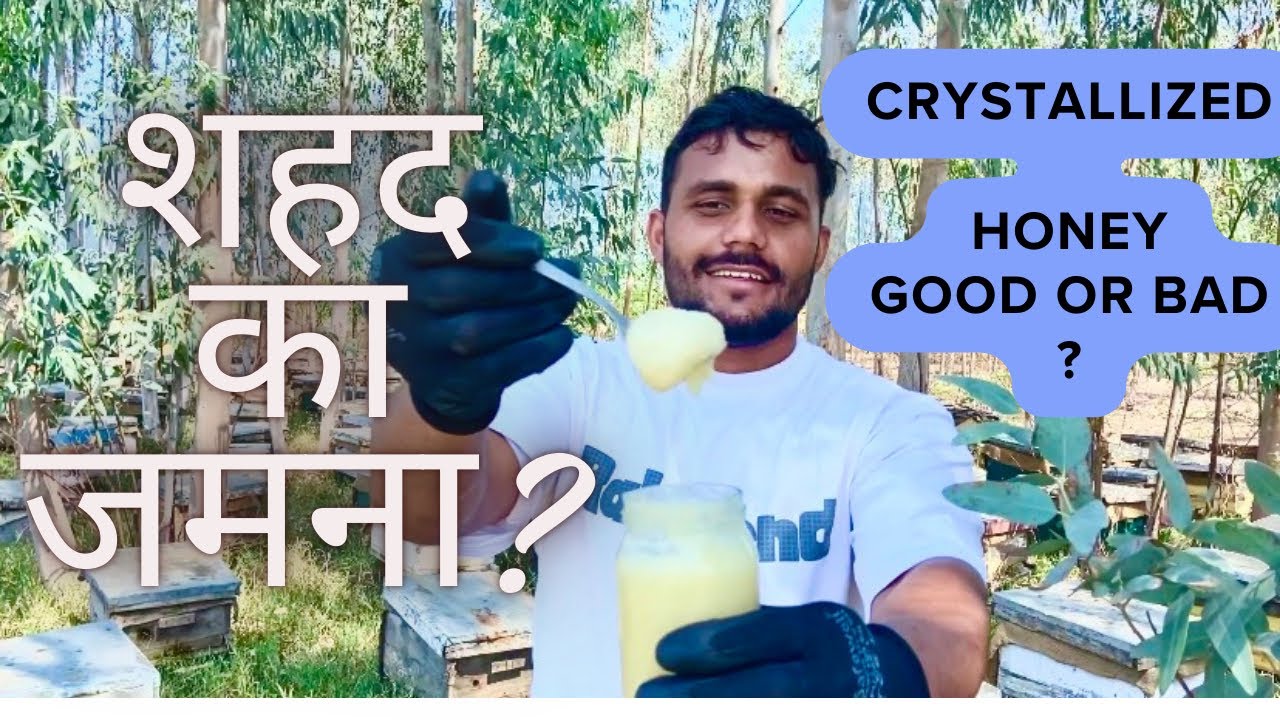 शहद क्यों जमता है?/crystallized honey good or bad