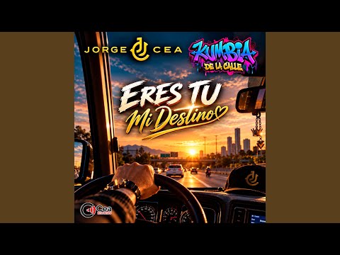 ERES TU MI DESTINO