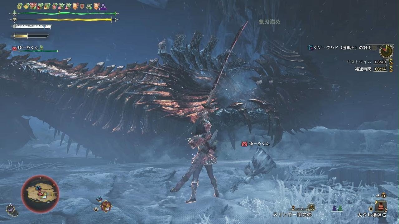 [MHWilds] 凍え知れ、安寧の睡郷　歴戦王ジン·ダハド　フリチャレ　太刀　8'16"27