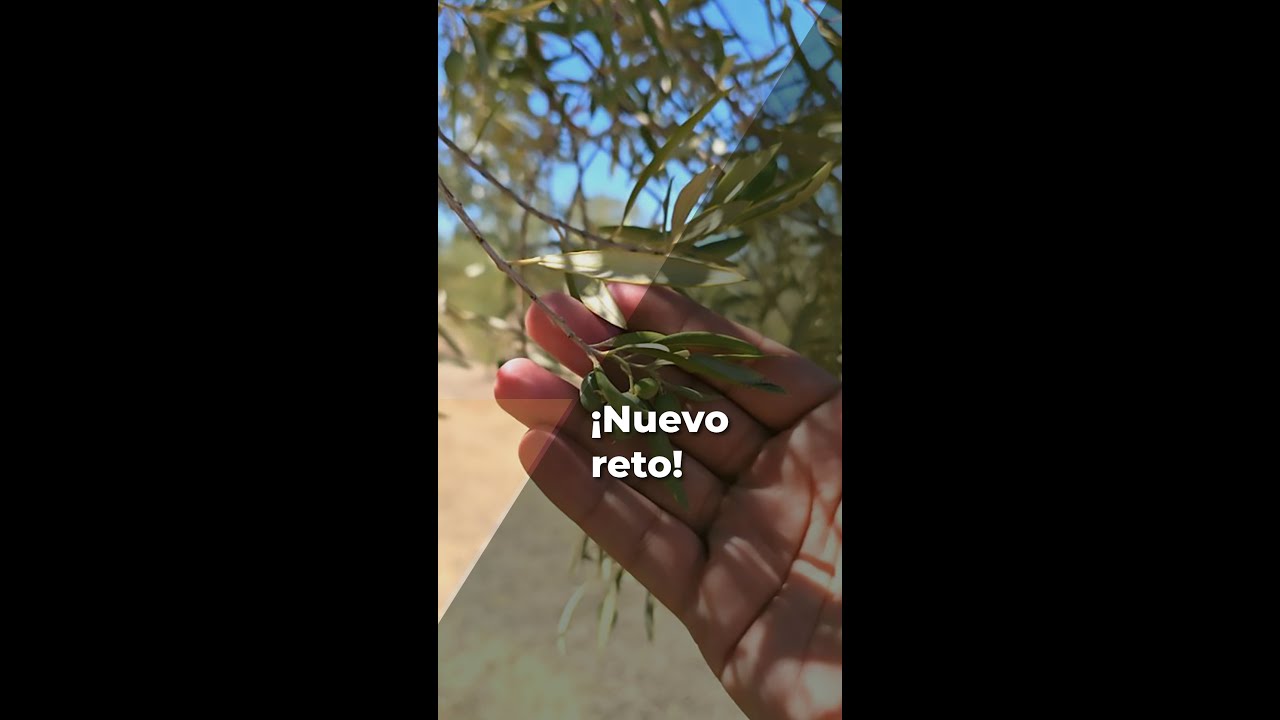 NUEVO RETO