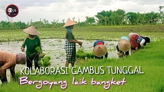 🥎KOLABORASI GAMBUS TUNGGAL SASAK // BERGOYANG LAIK BANGKET VERSI TERBARU METON