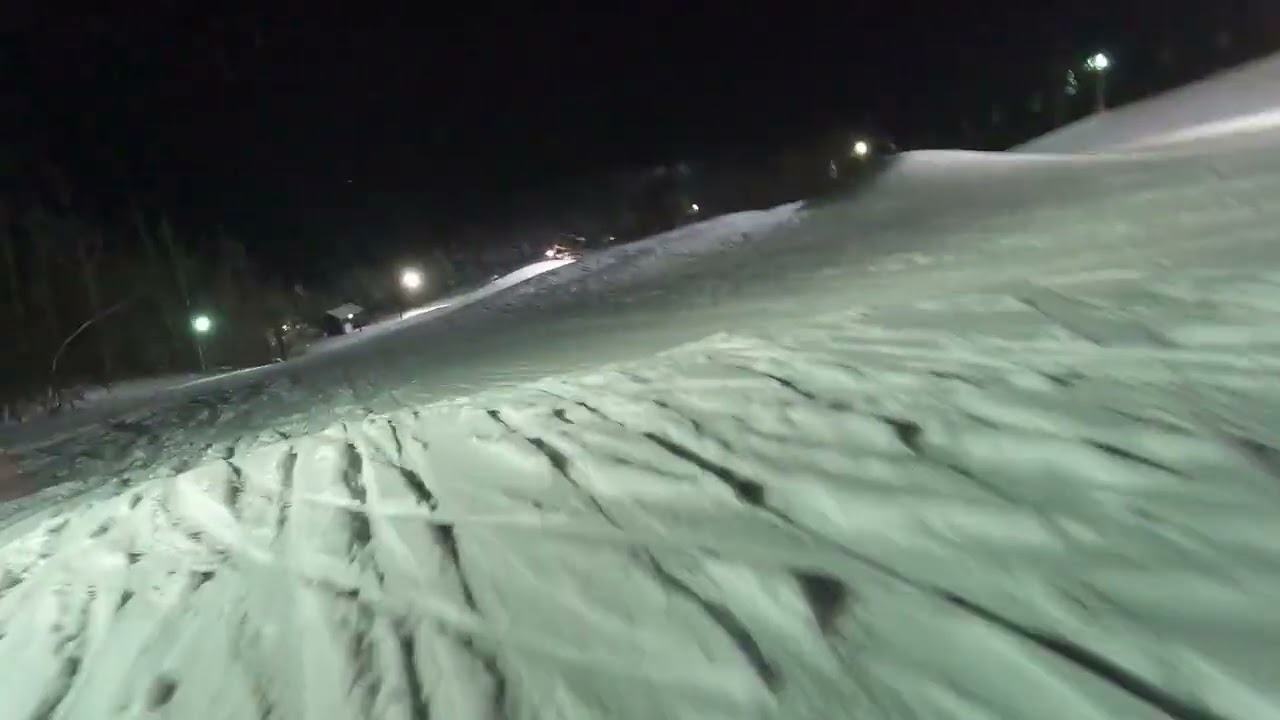 Treetops 01 03 2026 Party 3