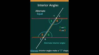 Alternate Interior Vs. Co-Interior Angles | Parallel Lines & Transversal #AlternateInteriorAngles