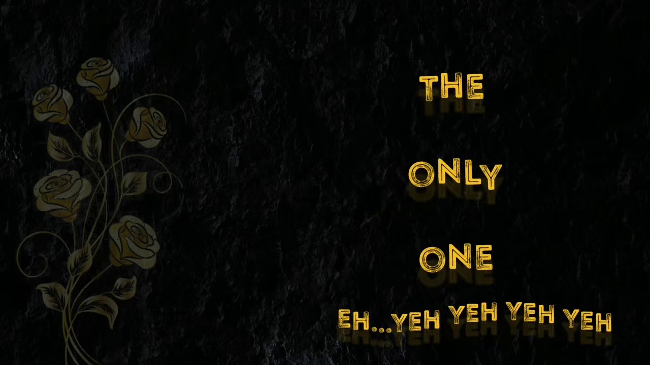 Hanoch - The Only One