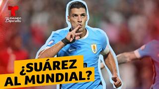 ¿Luis Suárez al Mundial? El ‘Pistolero’ no cierra la puerta a Uruguay | Telemundo Deportes