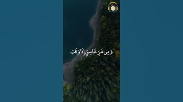 تلاوة خاشعة 🤍 قران كريم 🤍 بصوت جميل جداً القارئ .. #تلاوة #تلاوة_خاشعة #تلاوة_هادئة #قرآن #قرآن_كريم