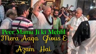 Peer Mamu ji ka Mela 🌹 Rehore Darbar Mela #Prabhuji Darbar Bhandara #peermamu #ghouspak #ghouseazam