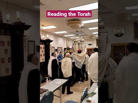 Reading the Torah