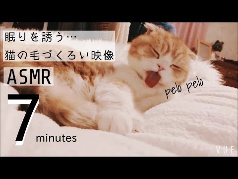【ASMR】眠くなる猫のペロペロ毛づくろいの音【動画付き】