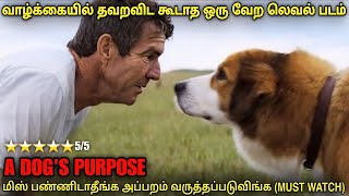 வாழ்க்கையில் தவறவிடகூடாத வேற லெவல் படம் | film roll | tamil explain | movie review