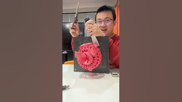 Removing 3D Model Stuck on Build Plate (Glass)