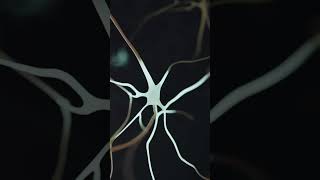 Neuron animation