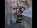本当にかわいそう, 管理人·ドロロン #エンドフィールド #arknightsendfield #アークナイツ:エンドフィールド