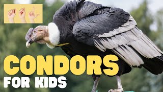 ASL Condors for Kids by Learn Bright 271 views 20 hours ago 7 minutes, 31 seconds