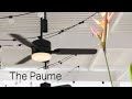 The Paume From Casablanca Fan Company The Paume From Casablanca Fan Company