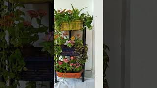 #garden4u #plants #indoorplanters #indoorplants #diy #uniqueplanters #flowers