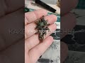 Какой твой день?
