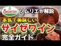 【サイゼリヤ 完全ガイド】ソムリエがサイゼの100円ワインと料理を徹底解説