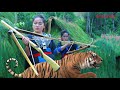 shoot a tiger by hmong primitive bow siv rab hneev txawv txawv tua tsov loj kawg