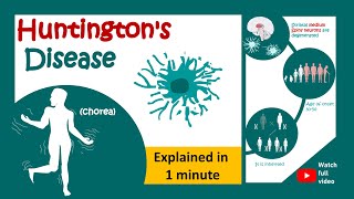 Huntington's disease in 1 minute | 1 minute pathology | Huntington's chorea