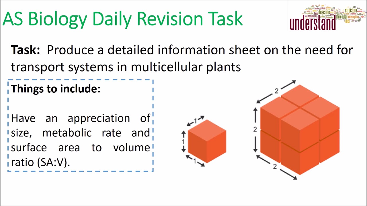 AS Biology Daily Revision Task 78 camera iphone 8 plus apk