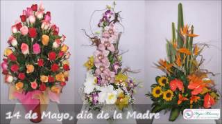 14 de Mayo, Día de la Madre