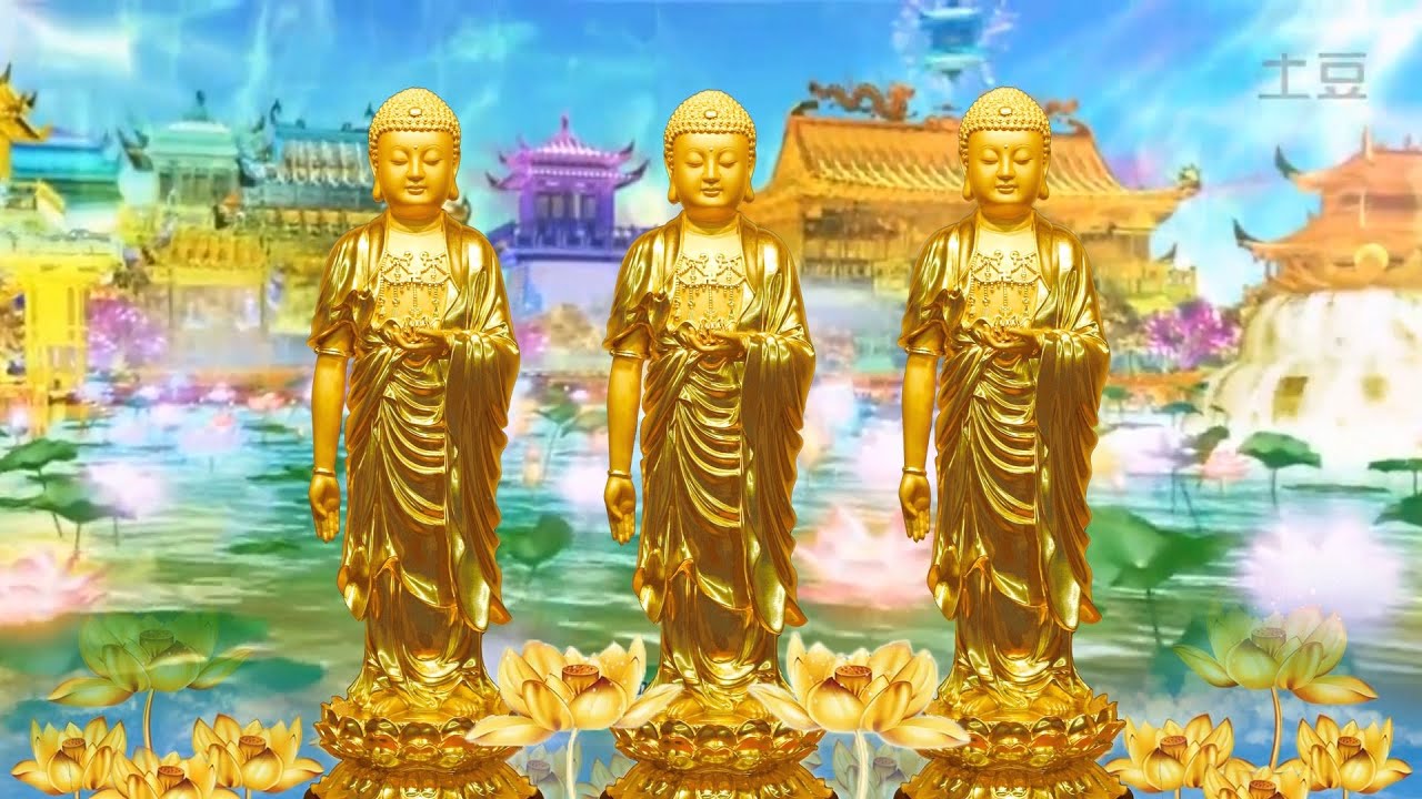 NIỆM PHẬT VÃNG SANH....