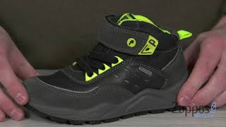 Primigi Kids PTBGT 23936 (Toddler/Little Kid) SKU: 9095880