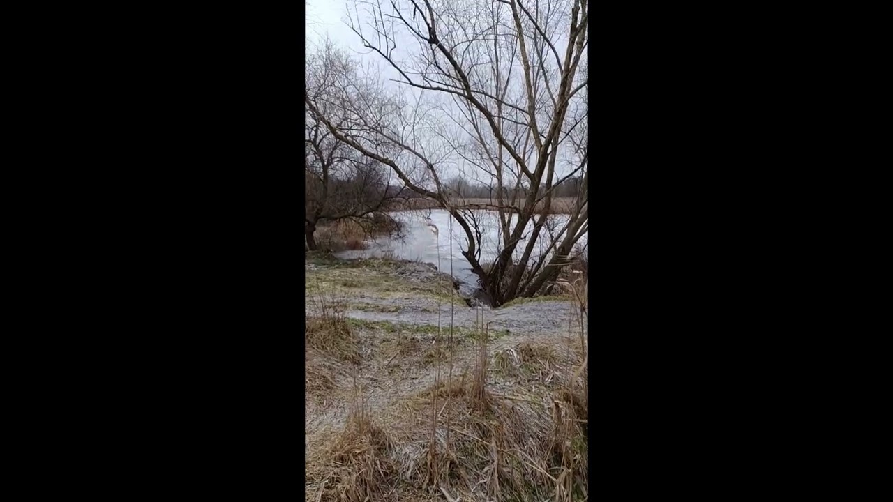 Весняна повінь 