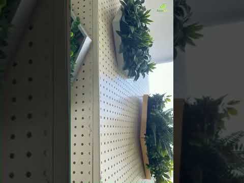 Video: Artificial plant for home interior (photo)