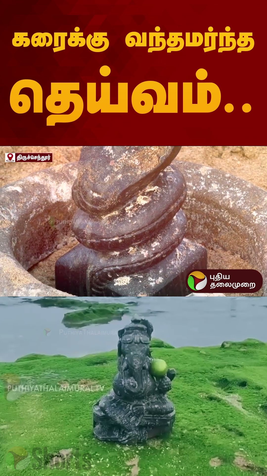 கரைக்கு வந்தமர்ந்த தெய்வம்.. | #thiruchendur | #murugan | #temple | #shorts