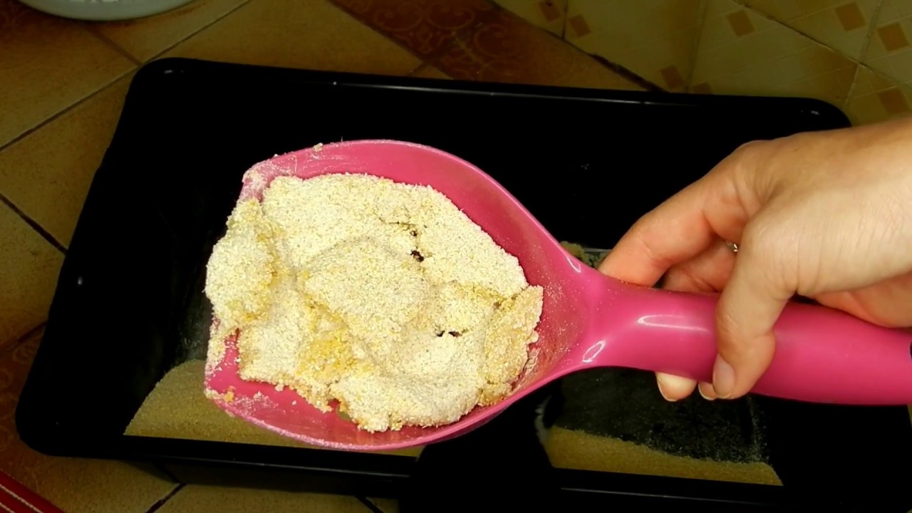 AREIA CASEIRA PARA GATOS (IDEAL PARA GATOS DE APARTAMENTO)