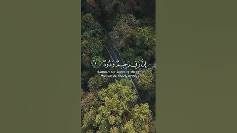 ﴿ وَاسْتَغْفِرُوا رَبَّكُمْ ثُمَّ تُوبُوا إِلَيْهِ ﴾سورة هود – الآية 3