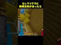 もしマイクラに物理法則があったらどうなる?#shorts
