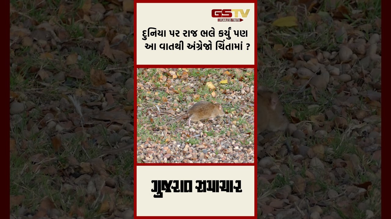 દુનિયા પર રાજ ભલે કર્યું પણ આ વાતથી અંગ્રેજો ચિંતામાં ?