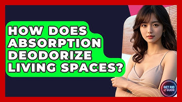 How Does Absorption Deodorize Living Spaces? - Get Rid Of Guide