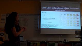 Diffusion Lab Dialysis Tubing Pd 3 2014