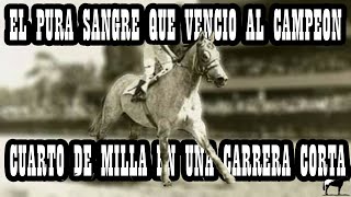 El Gran Beduino-Del Cerro Soy