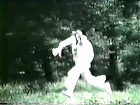 Zal Yanovsky — Zalman Yanovsky - As Long As You're Here