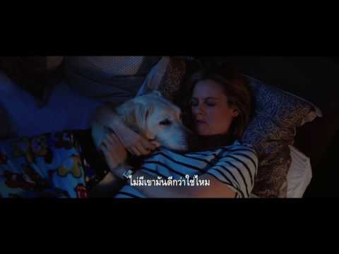 วีดีโอ: Man and Dog สร้างฉากภาพยนตร์โรแมนติก