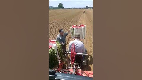 FieldBee Tractor GPS Navigation and Auto Steering Systems   #farming  #precisionfarming